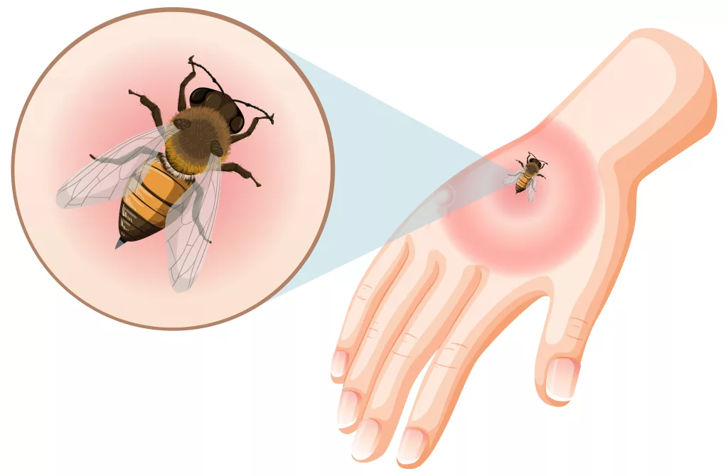 قرص النحل فوائده وتأثيره على الصحة 
